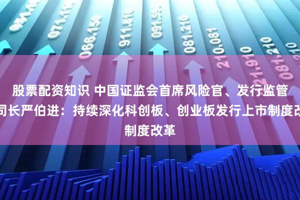 股票配资知识 中国证监会首席风险官、发行监管司司长严伯进：持续深化科创板、创业板发行上市制度改革