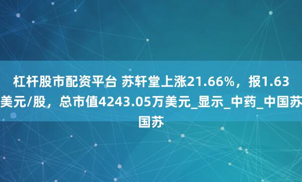 杠杆股市配资平台 苏轩堂上涨21.66%，报1.63美元/股，总市值4243.05万美元_显示_中药_中国苏